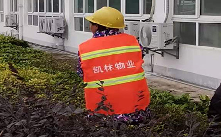 �F�݄P����I(y��)�������޹�˾